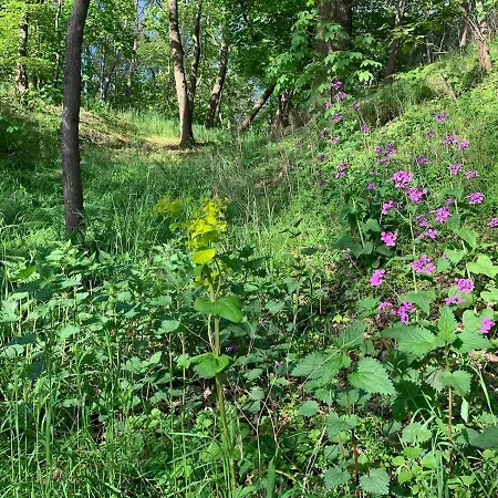 Tatil Evi Auszeit Am - Exklusiver Mit Seeblick