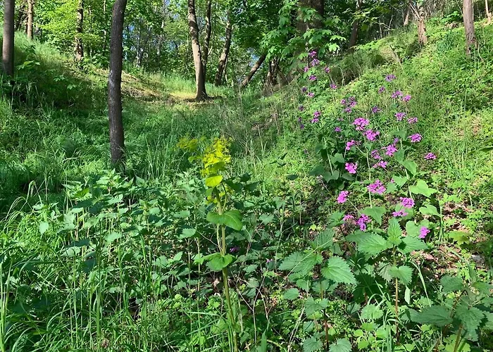 Tatil Evi Auszeit Am - Exklusiver Mit Seeblick